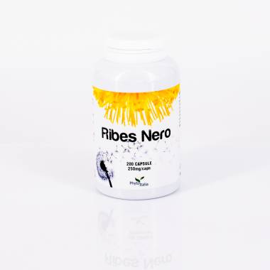 Ribes Nero 200 cps (Cassis)